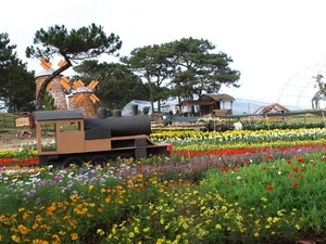 Exposition florale et de plante d agrément de Da Lat 2012